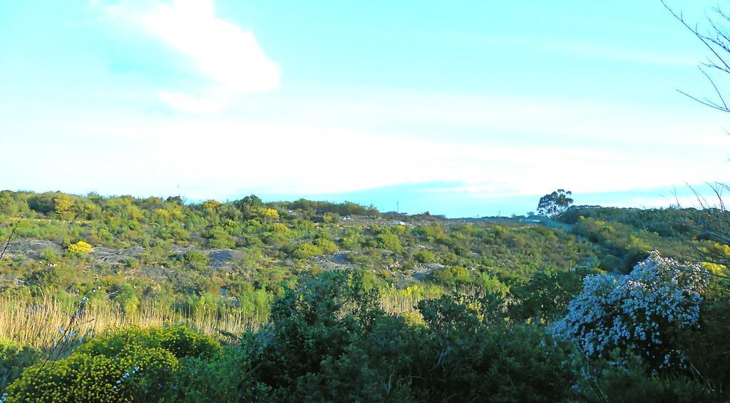 Onrus River Cottage Hermanus Buitenkant foto